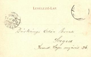 1899 Nyitra, Nitra; főgimnázium, vártemplom, Milleniumi emlékoszlop, laktanya, Sátortábor / grammar ...