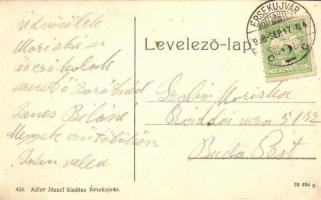 Érsekújvár, Nové Zamky; Vámsorompó. Adler József kiadása 434. / tollgate / Zollschranke