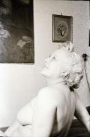 Női aktok, 7 db fotónegatív kocka