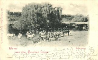1899 Lajtabruck, Bruck an der Leitha; Brucker Lager, Schwemme / K.u.k. military barracks, bathing cavalry with horses / lófürdetés
