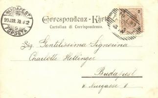 1899 Trento (Südtirol), Giardino pubblico / Garten / public garden. photo