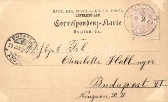 1899 Ogulin, Most nad Dolnom, Vodopadi / bridge, waterfall. Art Nouveau, floral