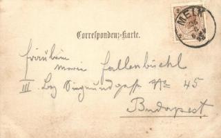 1898 Franz Josef gőzüzemű oldalkerekes személyhajó / Hungarian passenger steamship. photo