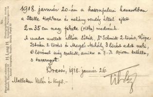 1918 Brassó, Kronstadt, Brasov; A hosszúfalusi havasokban a Stelle tisztikara által elejtett nagy fe...