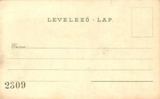 Sopron, Oedenburg; Várkerület, tér, Liszt szobor, színház, Vársoház. Kunstanstalt Karl Schwidernoch ...