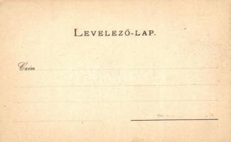 Selmecbánya, Banská Stiavnica; Kir. katolikus nagygimnázium. Joerges A. özvegye és fia 33. sz. / Cat...