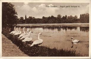 Tata Tóváros angol park