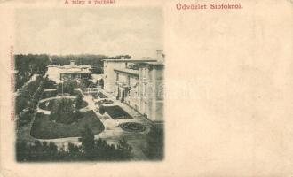 Siófok, Telep a parkkal. + A képeslap eredeti fotopolimer kliséje! / Original photo cliché (stereotype) of the postcard !