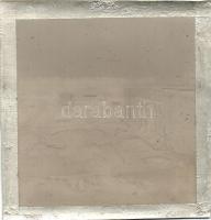 Siófok, Telep a parkkal. + A képeslap eredeti fotopolimer kliséje! / Original photo cliché (stereoty...