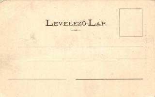 Siófok, Sió szálloda vendégekkel a parton. + A képeslap eredeti fotopolimer kliséje! / Original phot...