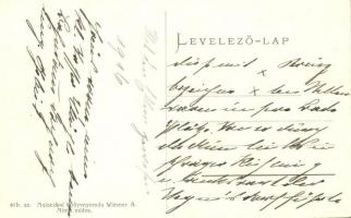 Dimvár, Dimburg, Suchohrad; Morvatájkép / Marchlandschaft / river view