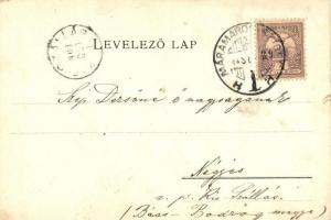 Árva vármegye térképe, kiadja Károlyi Gy. / Map of Árva County (kis szakadás / small tear)