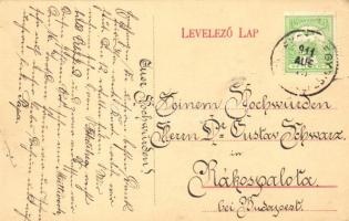 Feketehegyfürdő, Merény, Nálepkovo; Alsó sétány + A képeslap eredeti fotopolimer kliséje! / promenad...