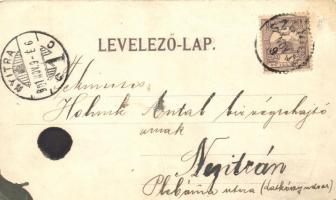 Szenice, Szenicz, Szenica; utcaképek, zsinagóga / street views, synagogue. Floral, Art Nouveau (b)