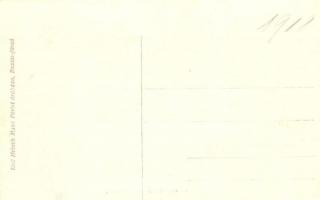 Buziás-fürdő, Fő utca, Községháza, este. Heksch Manó kiadása / main street, town hall, spa, night