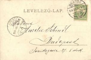 1905 Brassó, Kronstadt, Brasov; Árokmente / Hinter der Graft. photo