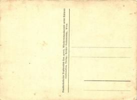 Vienna, Wien; Lanner Concert im Paradeis-Gartl. Brüder Nedomansky Handkolorierter Kupferstich (EK)