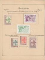 1.077 db régi magyar levélzáró, adománybélyeg, tagdíjbélyeg, MÁV-bélyeg stb nagyrészt különféle, lap...