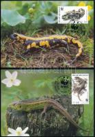 WWF: Reptiles and amphibians set on 4 CM, WWF: Hüllők és kétéltűek sor 4 db CM-n