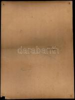 cca 1920 Holubka János, az utolsó 1848-as honvéd, nagyméretű fotó, sérült, pecséttel jelzett, 38x28 ...