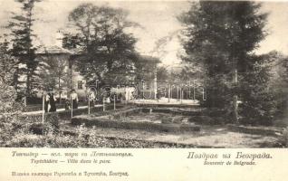 Belgrade - 19 db régi használatlan szerb jó minőségű érdekesebb lap / 19 pre-1945 unused Serbian pos...