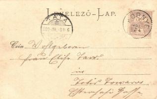 Felsőgalla (Tatabánya), Kőszénbánya, Tiszti kaszinó, Bányafelügyelői lak. Strausz Jakab kiadása, flo...