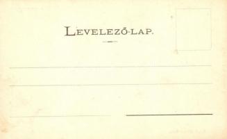 Kassa, Kosice; Felső Magyarországi Múzeum. Schwartz J. és Társa üzlete / old museum and shop