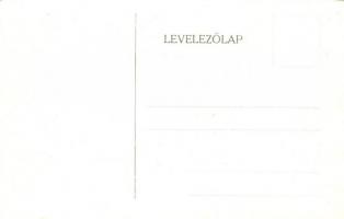 Budapest VIII. Tisztviselőtelep, M. kir. főgimnázium, belső képek - 14 db régi képeslap / 14 pre-194...