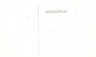 Budapest VIII. Tisztviselőtelep, M. kir. főgimnázium, belső képek - 14 db régi képeslap / 14 pre-194...