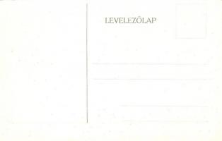 Budapest VIII. Tisztviselőtelep, M. kir. főgimnázium, belső képek - 14 db régi képeslap / 14 pre-194...