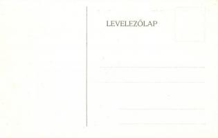 Budapest VIII. Tisztviselőtelep, M. kir. főgimnázium, belső képek - 14 db régi képeslap / 14 pre-194...