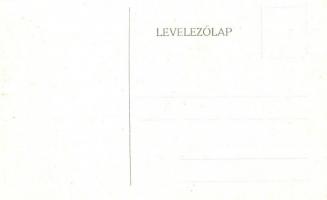 Budapest VIII. Tisztviselőtelep, M. kir. főgimnázium, belső képek - 14 db régi képeslap / 14 pre-194...