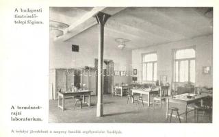 Budapest VIII. Tisztviselőtelep, M. kir. főgimnázium, belső képek - 14 db régi képeslap / 14 pre-194...