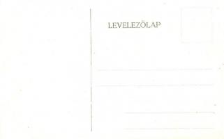 Budapest VIII. Tisztviselőtelep, M. kir. főgimnázium, belső képek - 14 db régi képeslap / 14 pre-194...