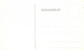 Budapest VIII. Tisztviselőtelep, M. kir. főgimnázium, belső képek - 14 db régi képeslap / 14 pre-194...