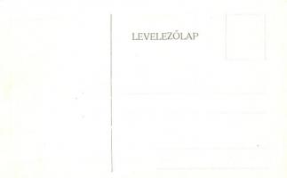 Budapest VIII. Tisztviselőtelep, M. kir. főgimnázium, belső képek - 14 db régi képeslap / 14 pre-194...