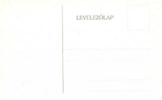 Budapest VIII. Tisztviselőtelep, M. kir. főgimnázium, belső képek - 14 db régi képeslap / 14 pre-194...