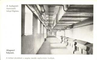 Budapest VIII. Tisztviselőtelep, M. kir. főgimnázium, belső képek - 14 db régi képeslap / 14 pre-194...