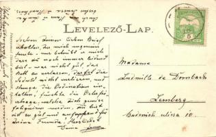 Deméte, Demjata; Báró Uszlár-Gleichen Ottó kastélya, lovas hintó. Divald / castle, chariot / Schloss...