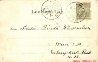 Bazin, Bösing, Bözing, Pezinok; templomok, folyó / churches, river