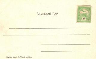 Besztercebánya, Banska Bystrica; Garam részlet híddal, Kohn Bernát üzlete / river, bridge, shop