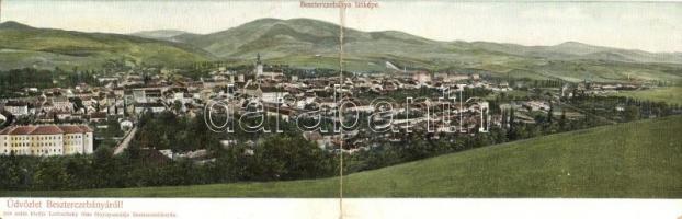 Besztercebánya, Banska Bystrica; Lechnitzky O. 210. panorámalap / panoramacard (fl)