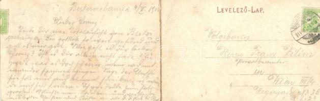 Besztercebánya, Banska Bystrica; Lechnitzky O. 210. panorámalap / panoramacard (fl)