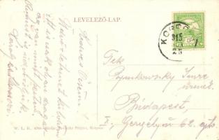 Korpona, Krupina; Szentháromság tér, piac, Reviczky Frigyes üzlete és saját kiadása. W.L. B. 4769. /...