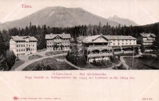 Ótátrafüred, Stary Smokovec; Nagyszalóki és Lomnici csúcs. Feitzinger Ede 321-2. 1902-12. / mountain peaks