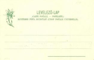 Ótátrafüred, Stary Smokovec; Nagyszalóki és Lomnici csúcs. Feitzinger Ede 321-2. 1902-12. / mountain...