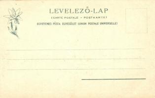 Tátra, Dunajeci hajózás / Dunajecfahrt durch die Pieninen, Feitzinger Ede 355. 1902/12 / rafting