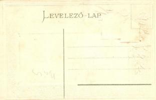 Zenta, Senta; Városház. Fekete Sándor kiadása. Címeres dombornyomott litho lap / town hall. Coat of ...