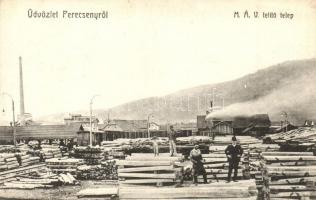 Perecseny, Perechyn; MÁV telítő telep, fűrésztelep / factory, saw mill