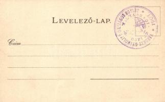 Pécs, Baranya vármegye címere; Athenaeum Rt. kőnyomdája, floral, litho. "1907 Vakokat Gyámolító...